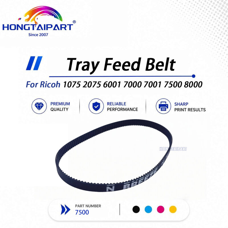 Nazwa