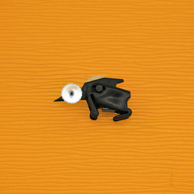Nazwa