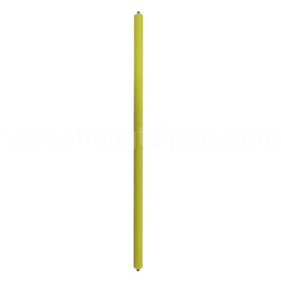 Nazwa